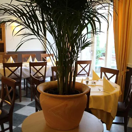 Hotel Eden-hotel 4*